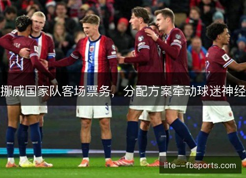 挪威国家队客场票务，分配方案牵动球迷神经